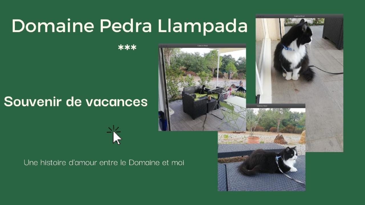 Domaine Pedra Llampada Montagne