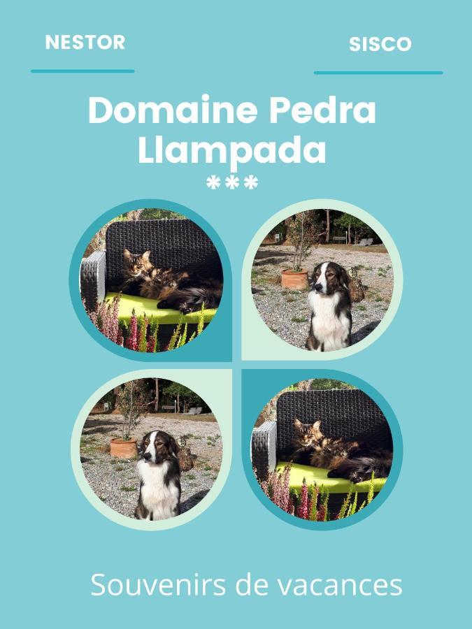 Domaine Pedra Llampada Montagne * Villelongue-dels-Monts