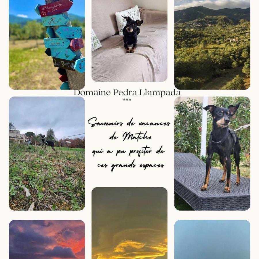 Appartement Domaine Pedra Llampada Montagne Villelongue-dels-Monts
